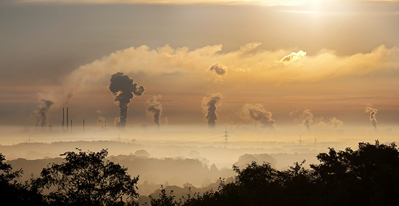 pollute单词图片