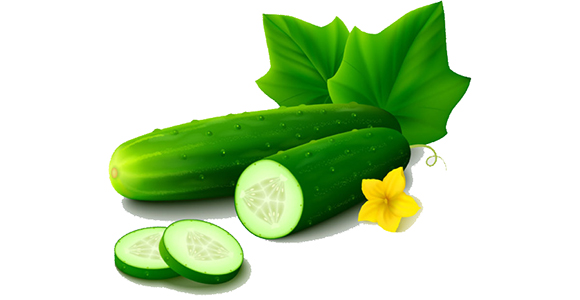 cucumber单词图片