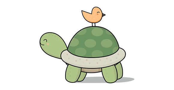 turtle单词图片