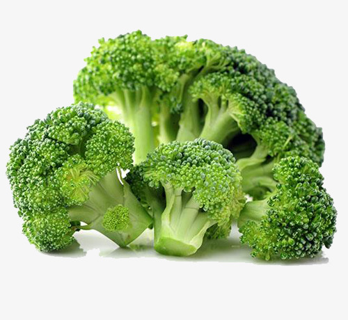 broccoli单词图片