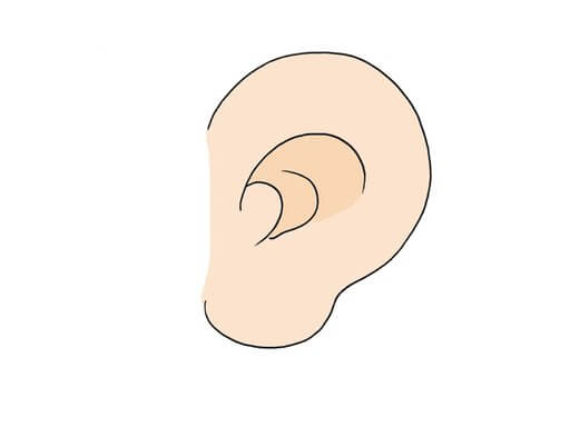 ear单词图片