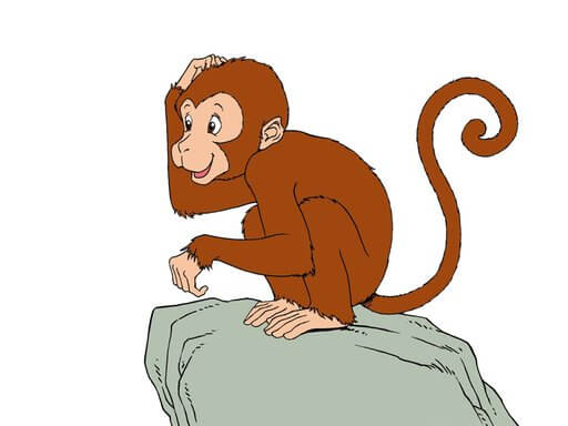 monkey单词图片