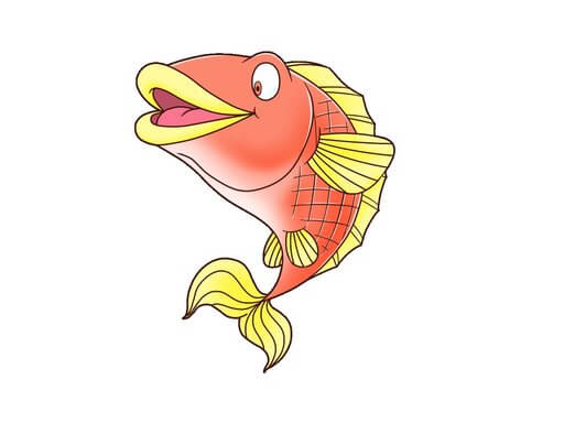 fish单词图片