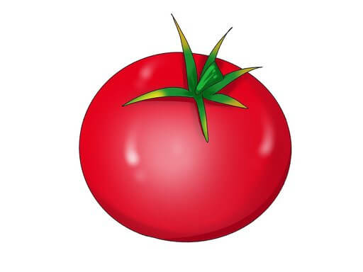 tomato单词图片