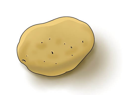 potato单词图片