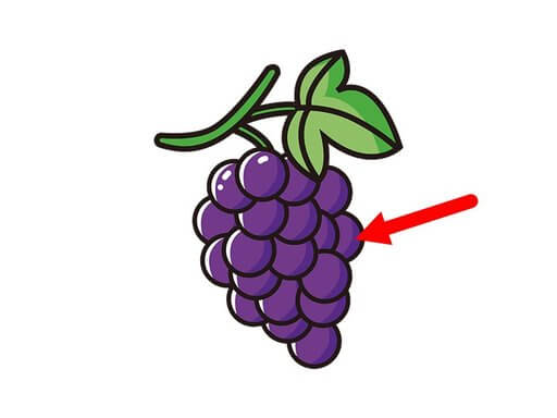 grape单词图片