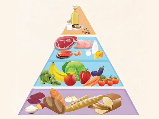 food group单词图片