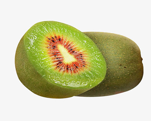 kiwi fruit单词图片