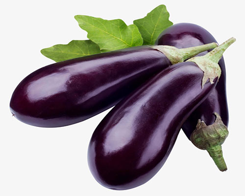 eggplant单词图片