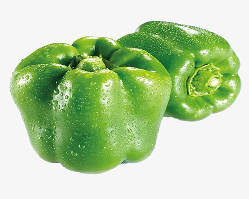 green pepper单词图片