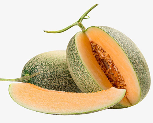 hami melon单词图片