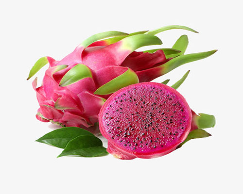 dragon fruit单词图片