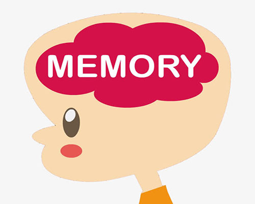 memory单词图片