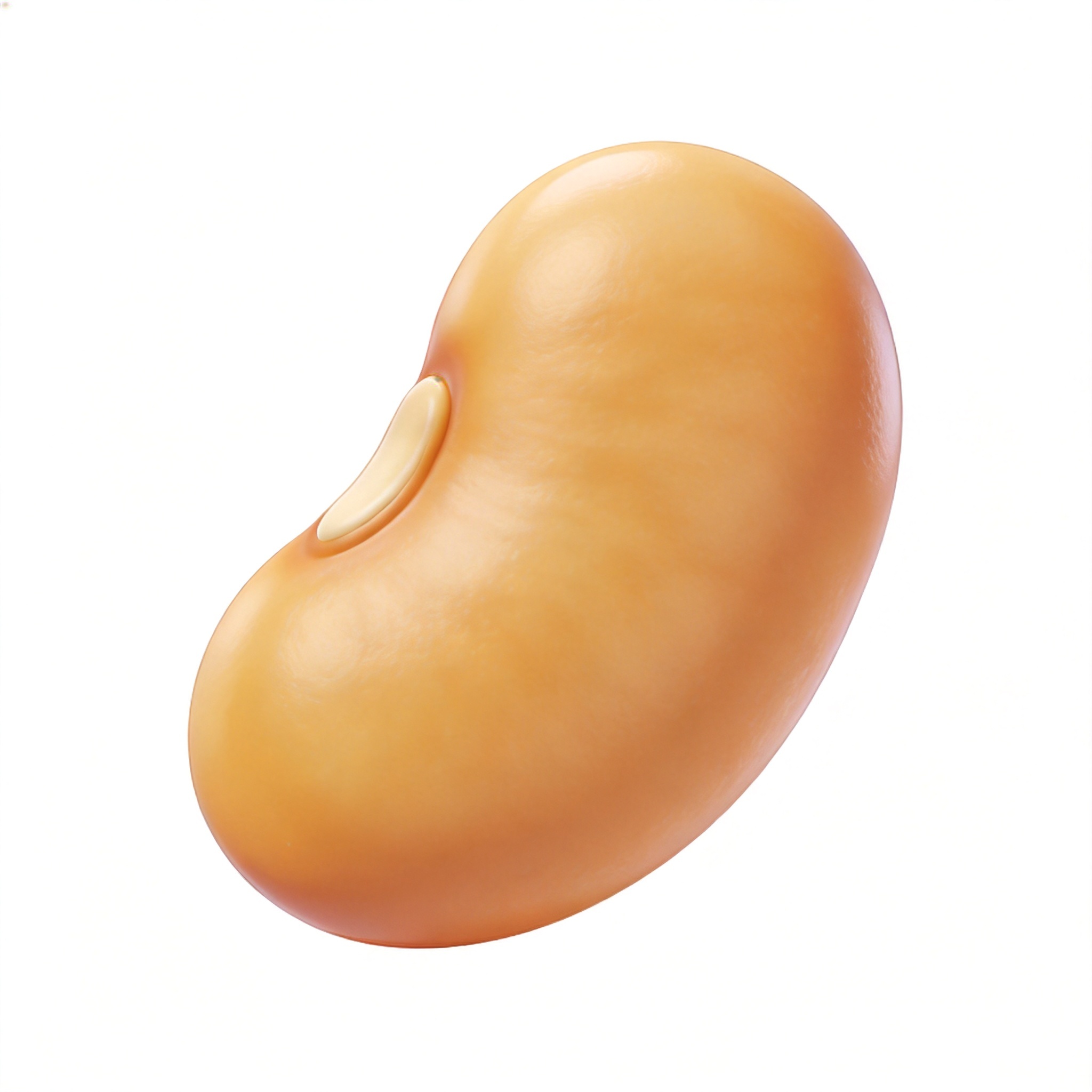 beans单词图片