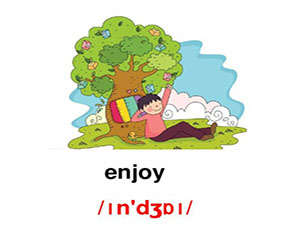 enjoy单词图片