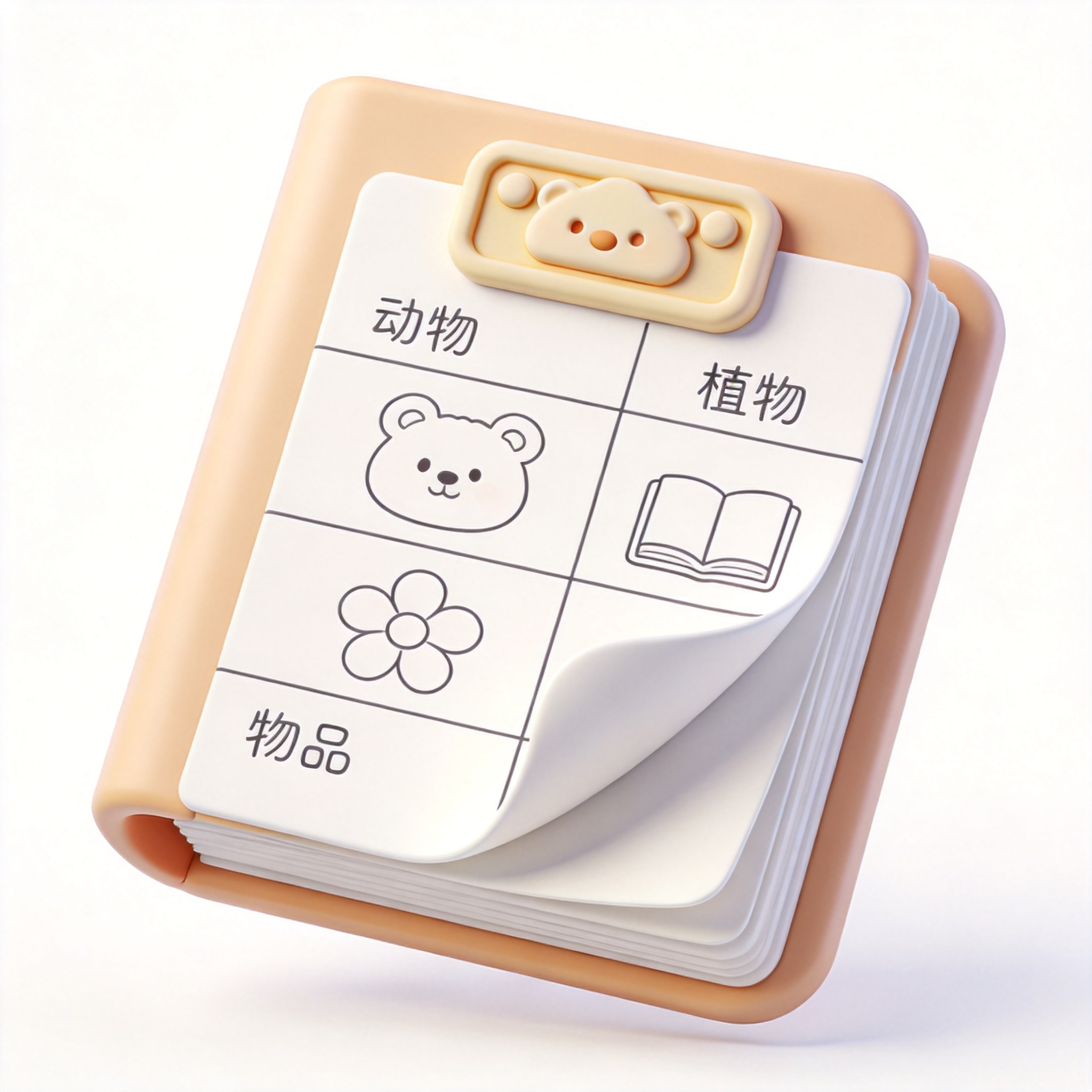 fact file   单词图片