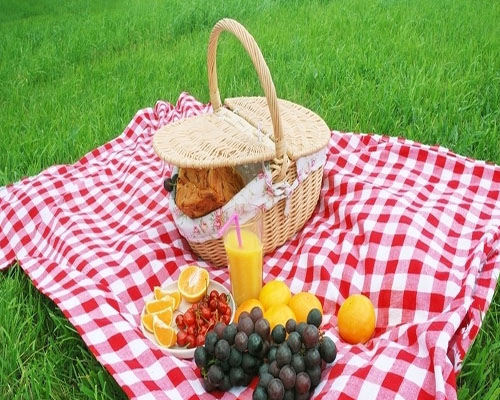 go for a picnic单词图片