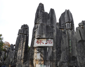 the Stone Forest单词图片