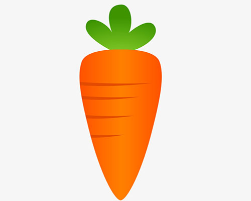 carrot单词图片