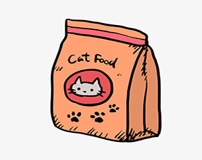 cat food单词图片