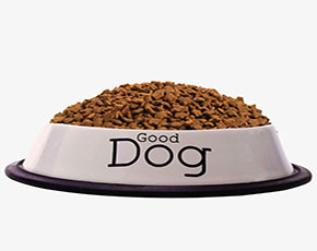 dog food单词图片