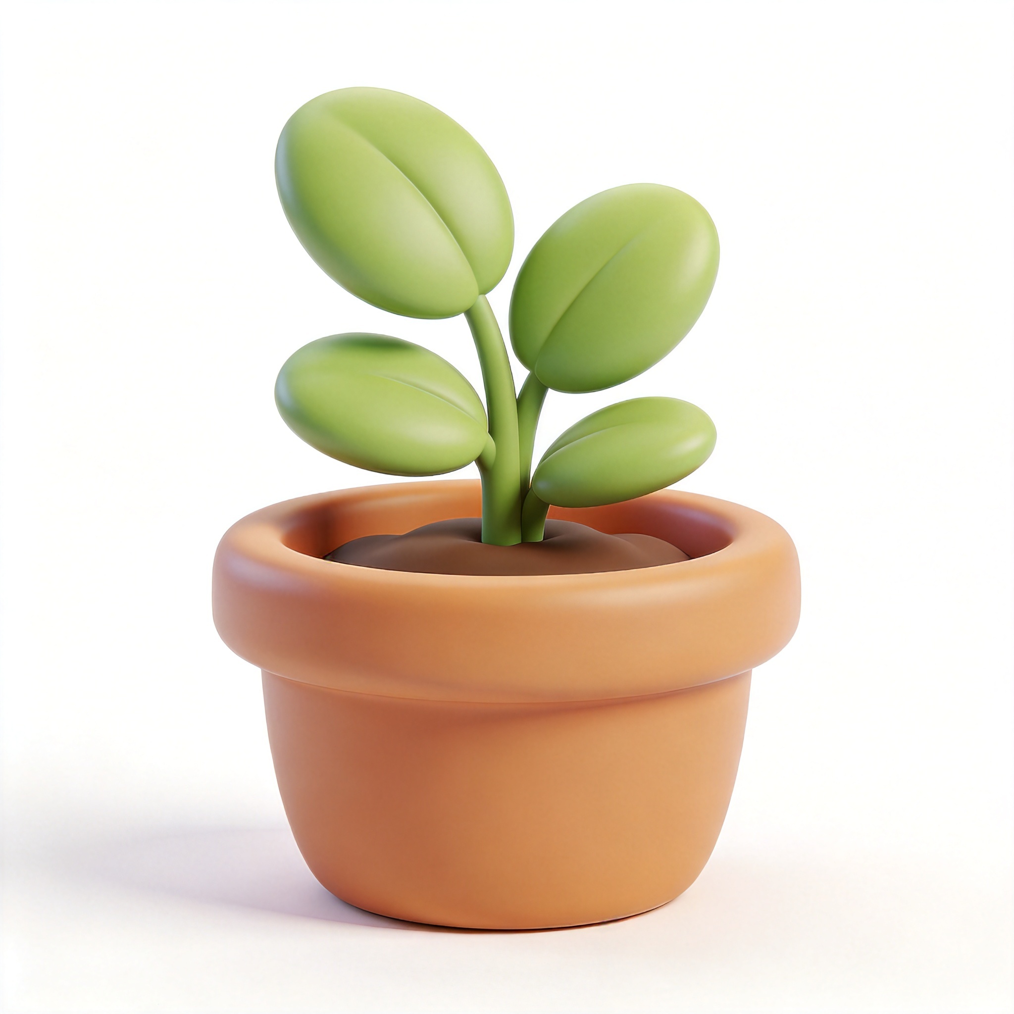 flowerpot单词图片