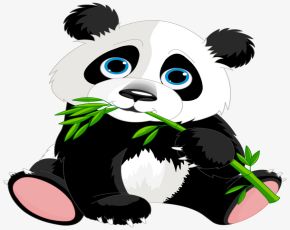 giant panda单词图片