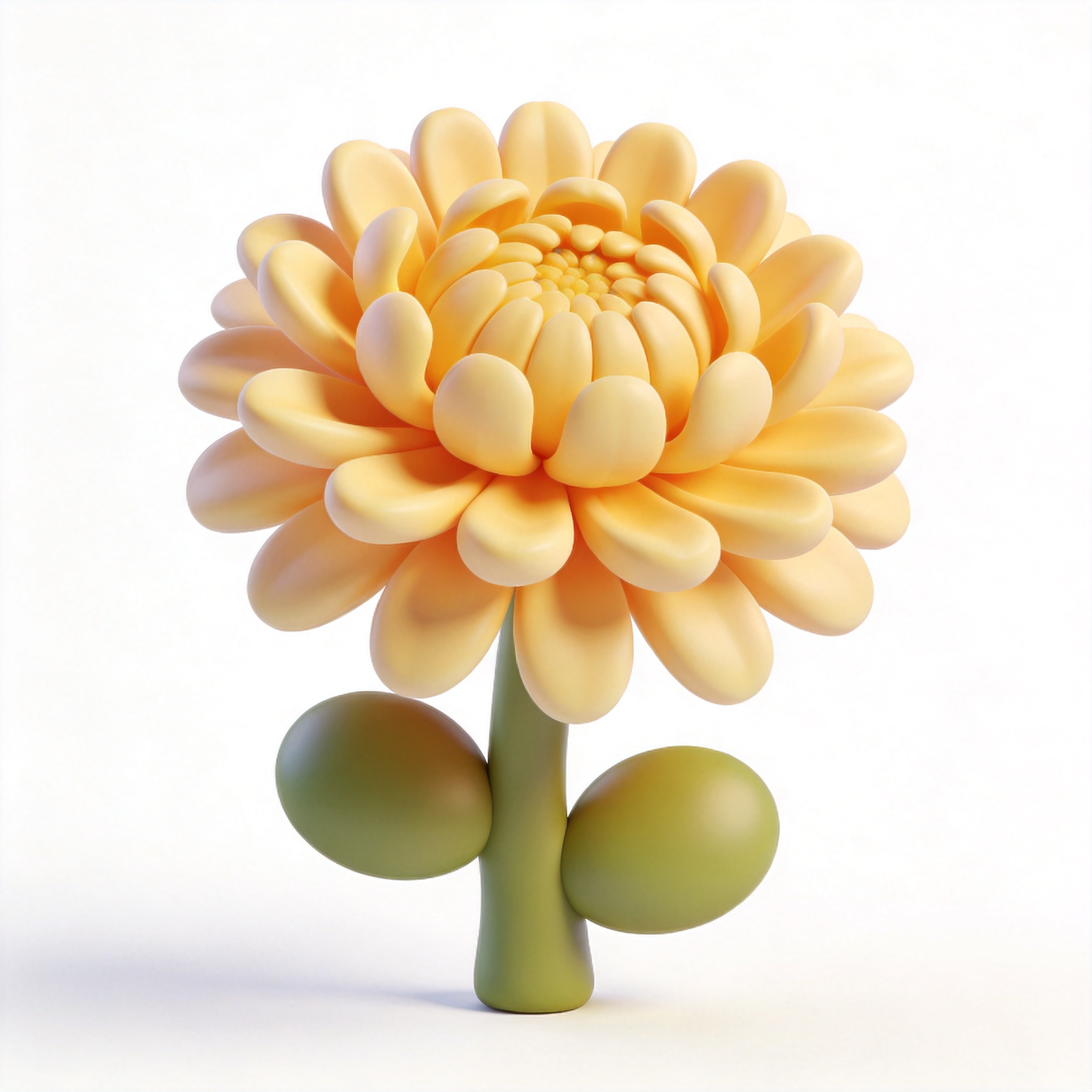 chrysanthemum单词图片
